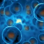 انقلاب اگزوزومها؛ راز جوانی پوست و بازسازی سلولی با انواع اگزوزوم